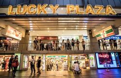 Lucky Plaza (D9), Apartment #503994971